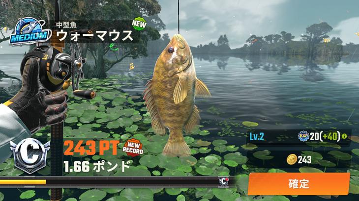 釣りの達人で釣った魚の画像